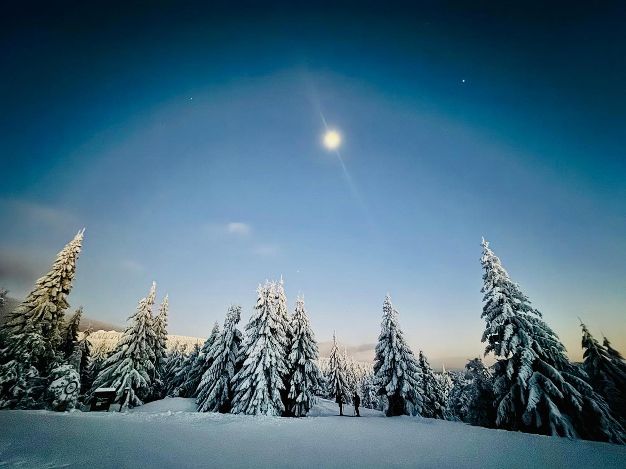 Stara Skola Marianska *