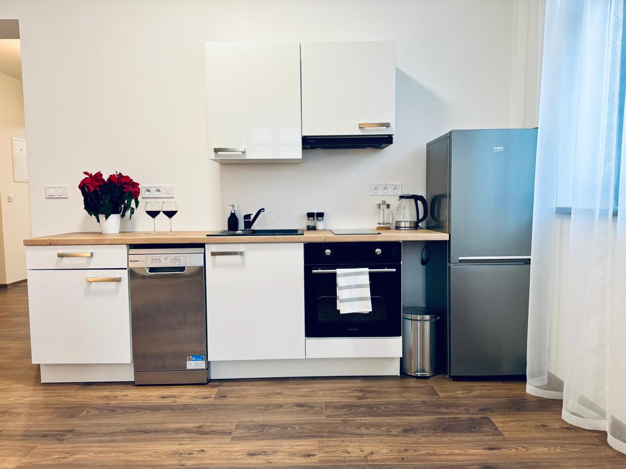 Apartment Stara Skola Marianska