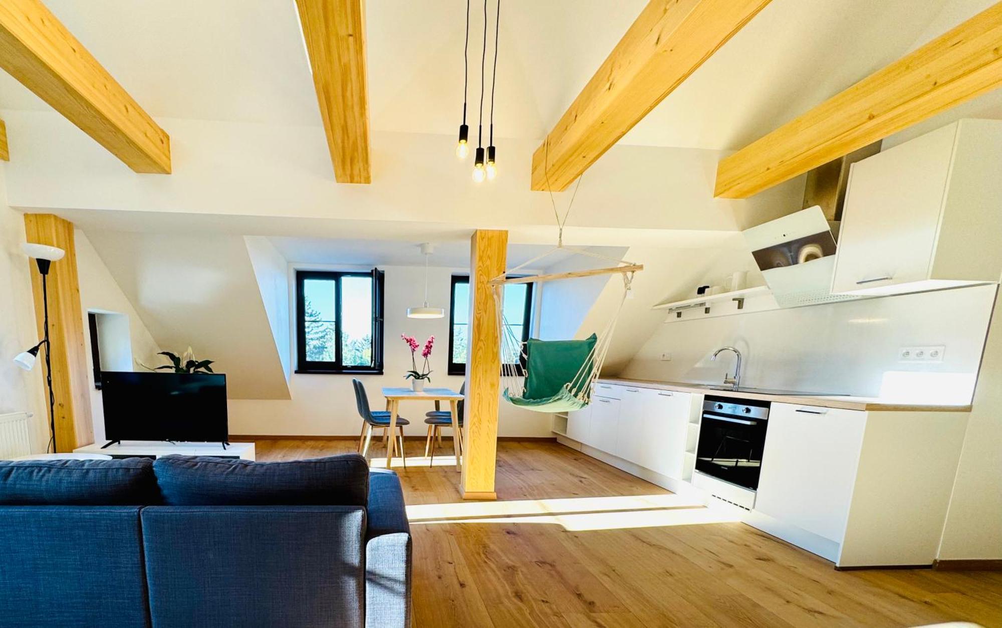 Apartment Stara Skola Marianska